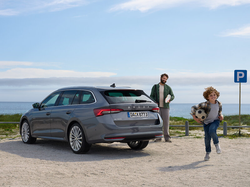 Mehrere Personen und ein Hund befinden sich neben einem grauen Škoda Octavia Combi auf einem Parkplatz mit Blick auf das Meer.