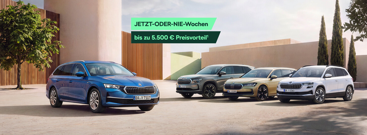 Fahrzeugabbildung zeigt vom Angebot abweichende Sonderausstattung.