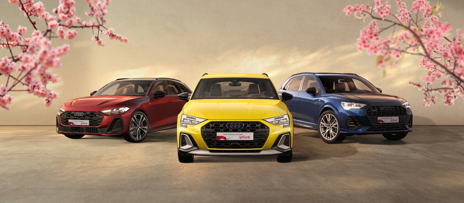 Audi A5 Avant, Audi A3 allstreet und Audi Q3 nebeneinander vor blühenden Kirschbäumen in Frontansicht auf hellem Studiohintergrund